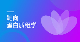 靶向蛋白质组学