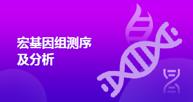 宏基因组测序及分析