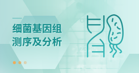 细菌基因组扫描图