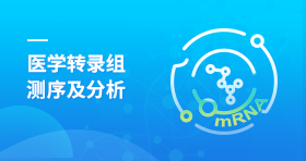 医学转录组测序及分析