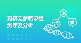 真核无参转录组测序及分析